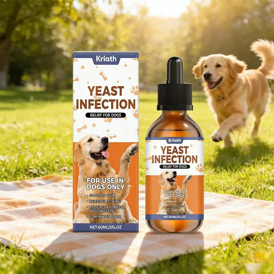 Dog Wellness
