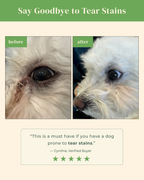 Pet Facial & Eye Comb
