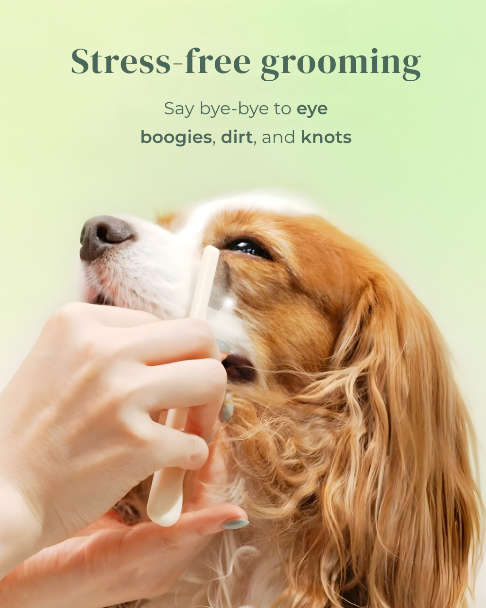 Pet Facial & Eye Comb