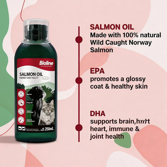 "Zum Pets Salmon Oil – Omega-3 Fish Oil for Dogs & Cats"