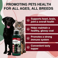 "Zum Pets Salmon Oil – Omega-3 Fish Oil for Dogs & Cats"