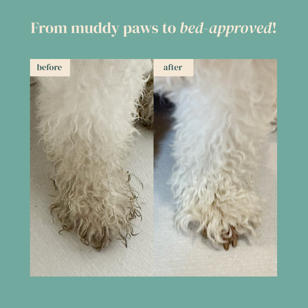 Rice Water Paw & Facial Shampoo