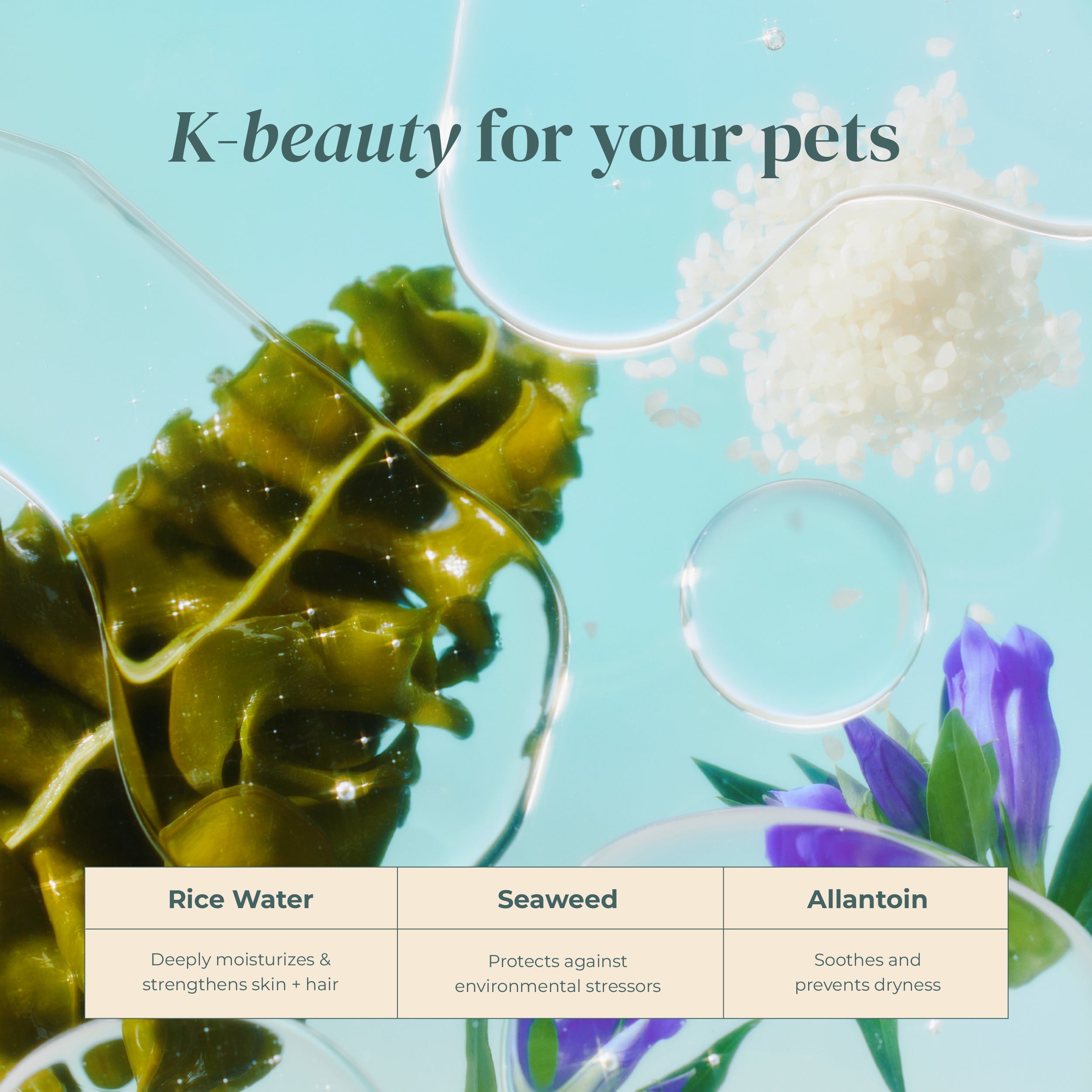 Rice Water Paw & Facial Shampoo