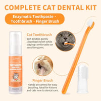 Cat dental care kit with toothpaste, toothbrush, and finger brush on a white background